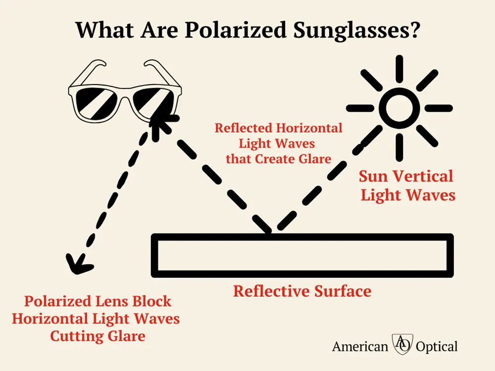 What Are Polarized Sunglasses?